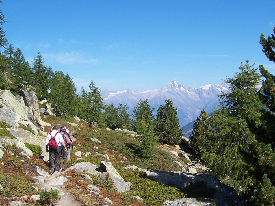 Wanderer auf dem Höhenweg Grächen - Saas Fee | © Holiday destination Grächen St. Niklaus