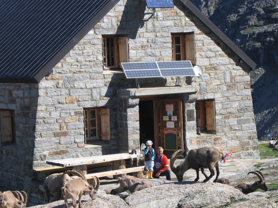 Bordierhütte with ibex | © Holiday destination Grächen St. Niklaus