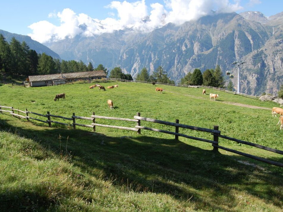 Alpe Äpnet | © Unknown