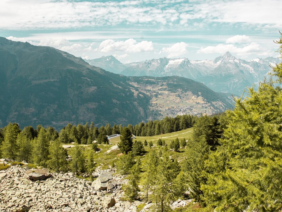 Schöner Hang des Grächner Wildtierweg, knapp an der Waldgrenze mit einer atemberaubenden Aussicht auf die gegenüberliegende Bergwelt | © Grächen St. Niklaus Tourismus & Gewerbe