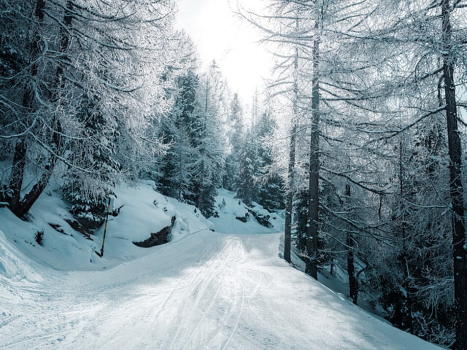 Slope to Stafel | © Holiday destination Grächen St. Niklaus