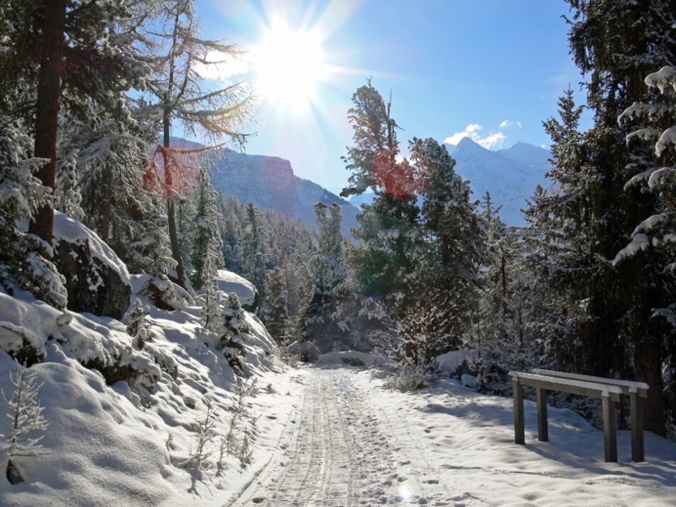 winter hiking trail | © Holiday destination Grächen St. Niklaus