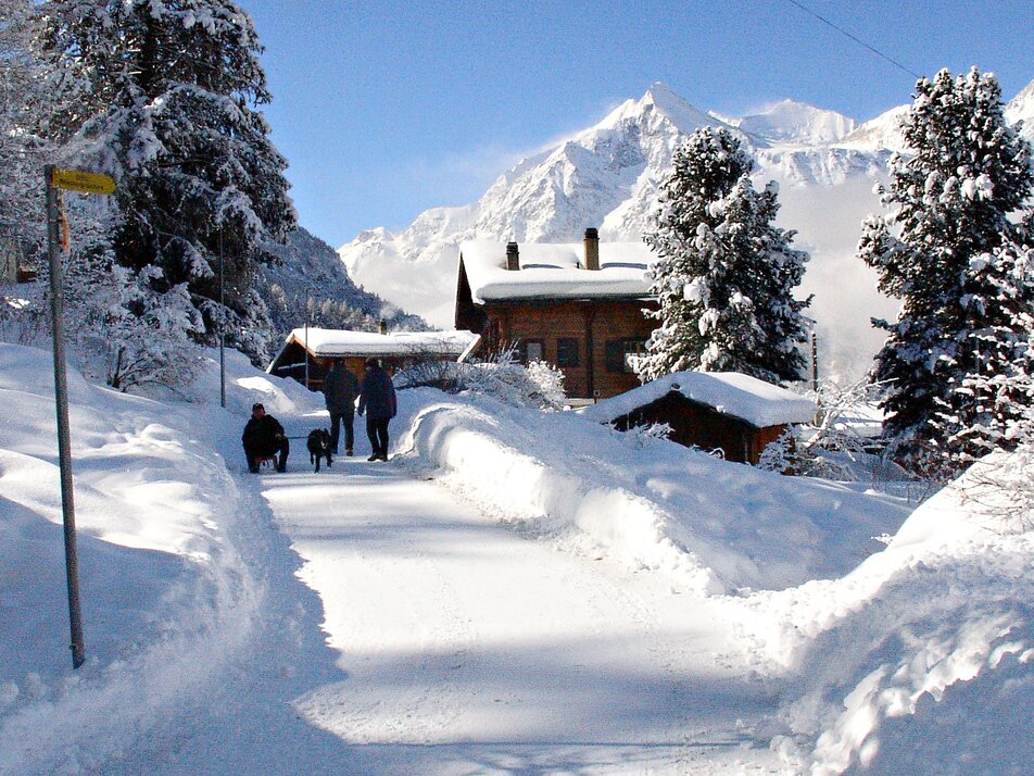 Winter hike Grächen | © Holiday destination Grächen St. Niklaus