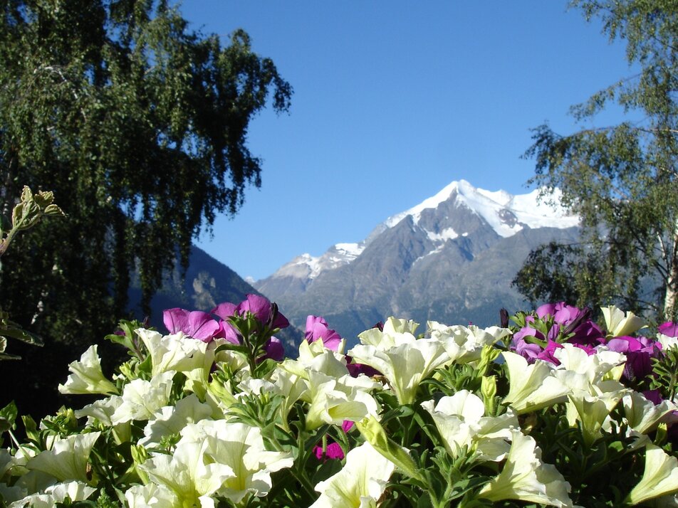 Aussicht Brunegghorn | © Holiday destination Grächen St. Niklaus