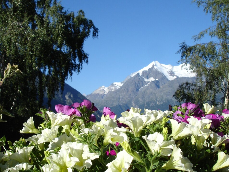 Aussicht Brunegghorn | © Holiday destination Grächen St. Niklaus
