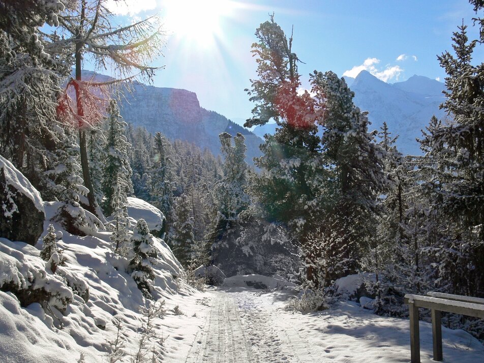 Winter hike Grächen | © Holiday destination Grächen St. Niklaus