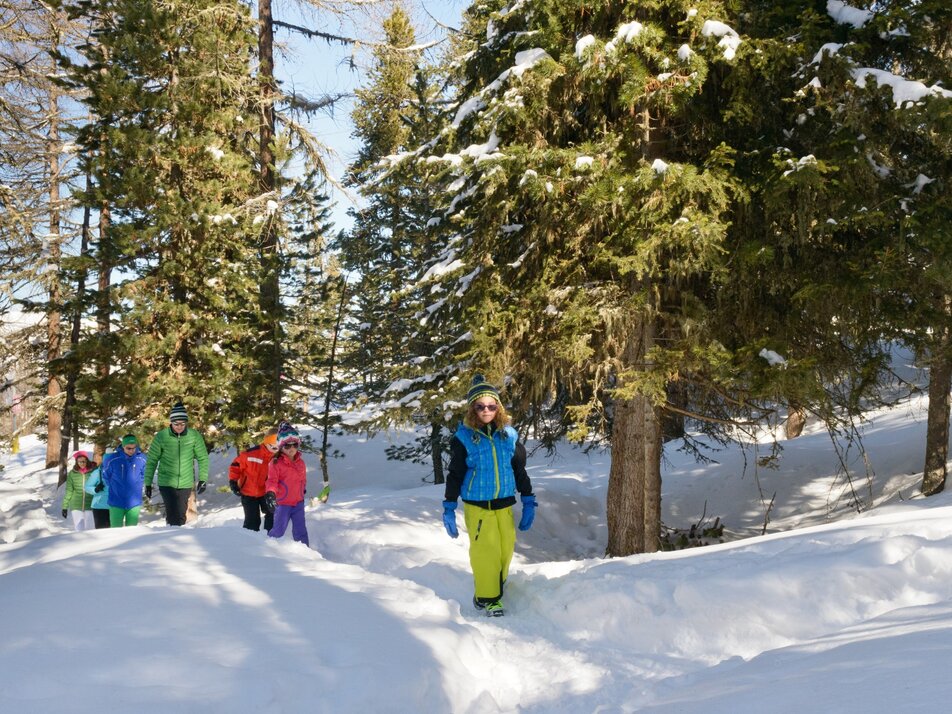 Der Trail führt durch den Wald | © Grächen und St. Niklaus Tourismus und Gewerbe  