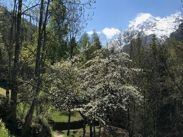 St. Niklaus - Wichel | © Holiday destination Grächen St. Niklaus St. Niklaus - Wichel | © Holiday destination Grächen St. Niklaus