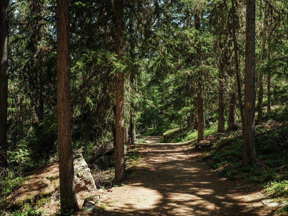 © Grächen und St. Niklaus Tourismus und Gewerbe