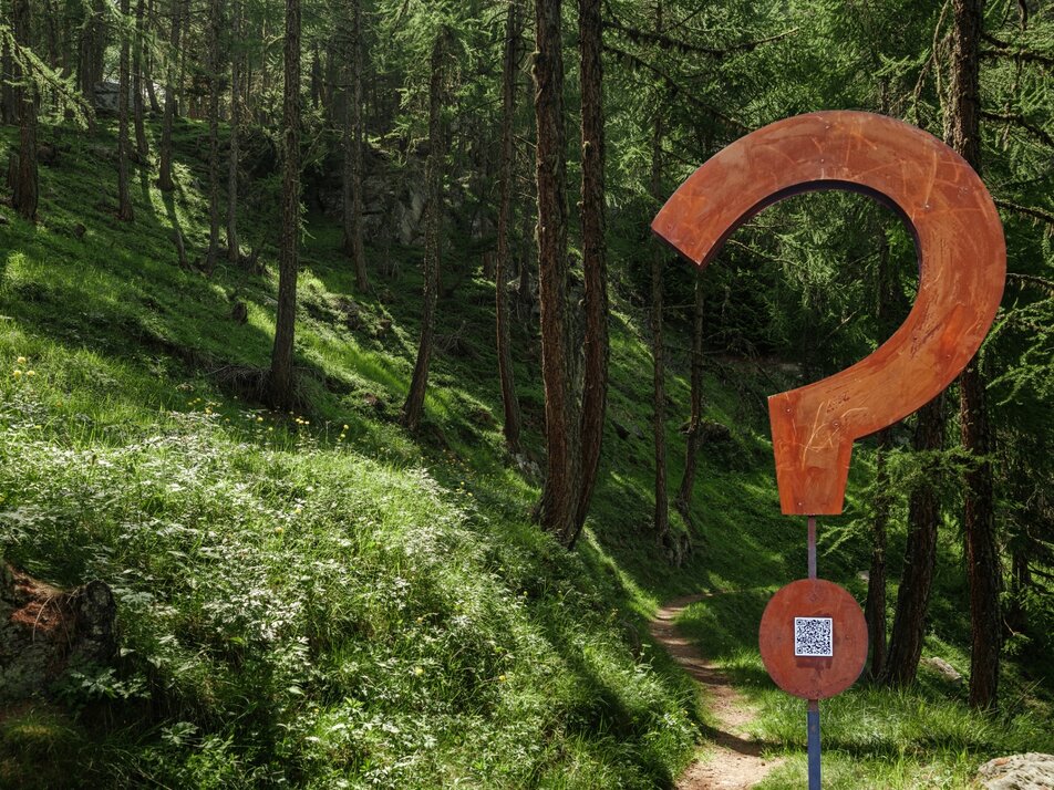 © Holiday destination Grächen St. Niklaus