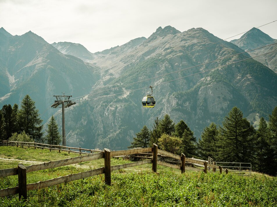 Eine Gondel der Bergbahn schwebt über der Alpe Äbnet bei Grächen, mit grünen Wiesen, Lärchenwald und alpinem Bergpanorama im Hintergrund.